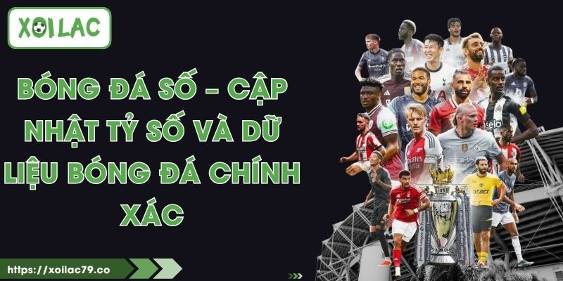 Bóng Đá Số – Cập Nhật Tỷ Số Và Dữ Liệu Bóng Đá Chính Xác