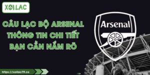 Câu Lạc Bộ Arsenal - Thông Tin Chi Tiết Bạn Cần Nắm