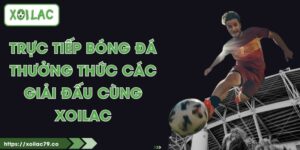 Trực Tiếp Bóng Đá - Thưởng Thức Các Giải Đấu Cùng Xoilac